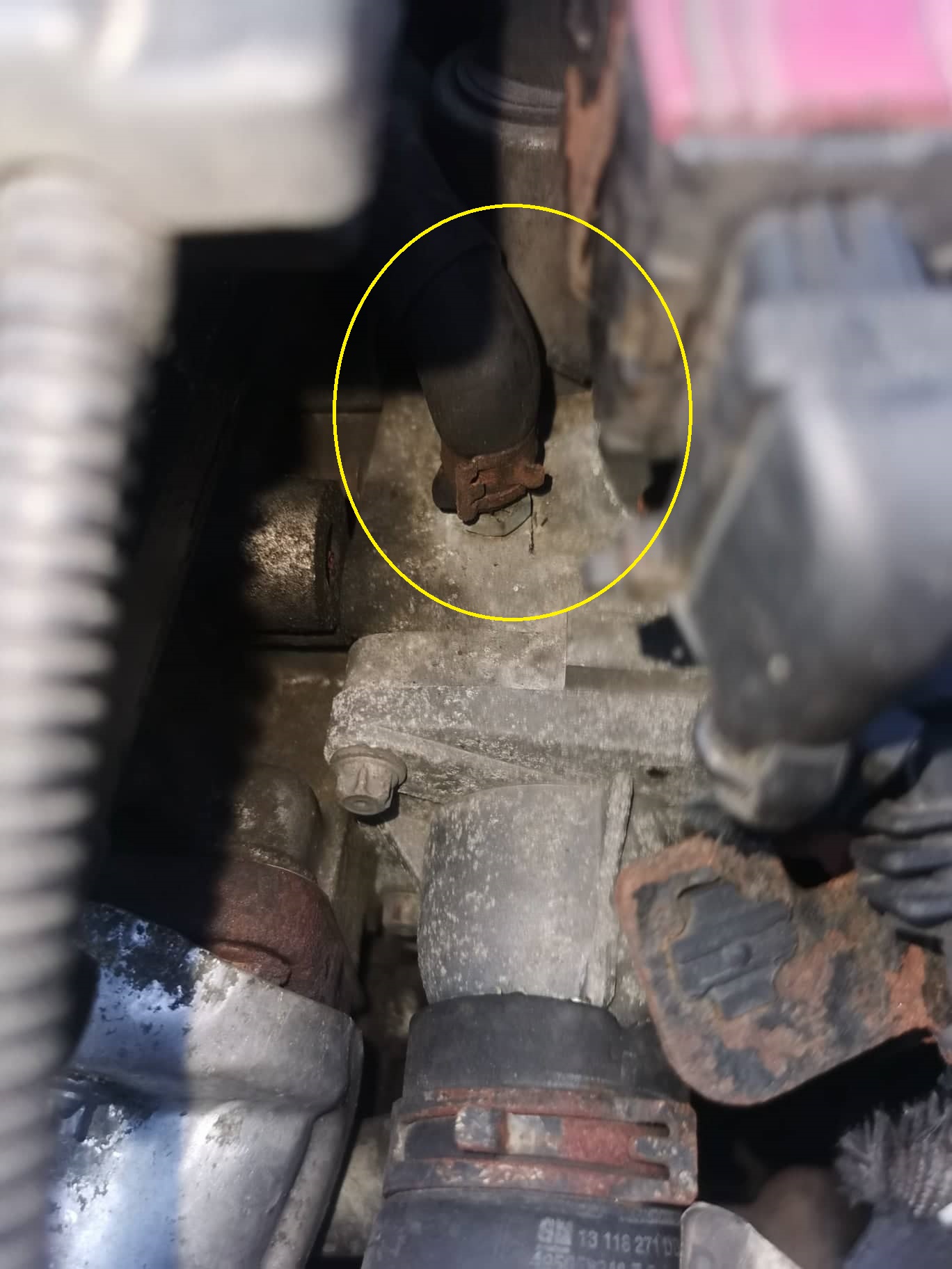 286963724_1093197234885165_9178719186198730326_n (1).jpg